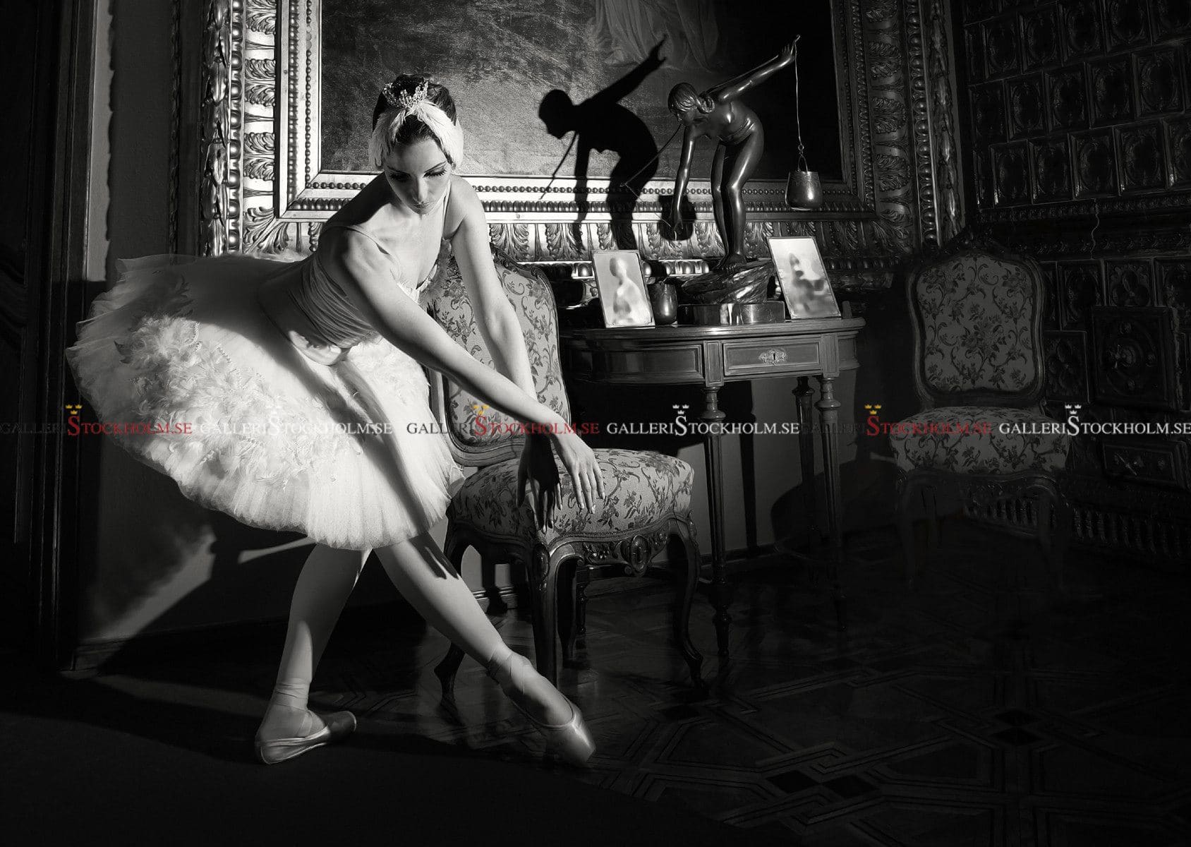 Dmitry Savchenko – Fotokonst – Artistic Shadow