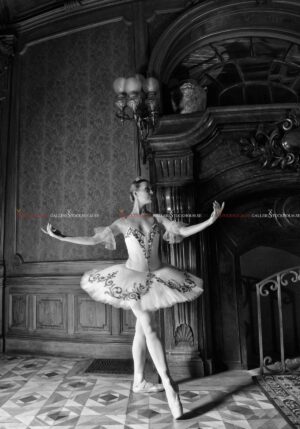 Dmitry Savchenko - Fairy tale