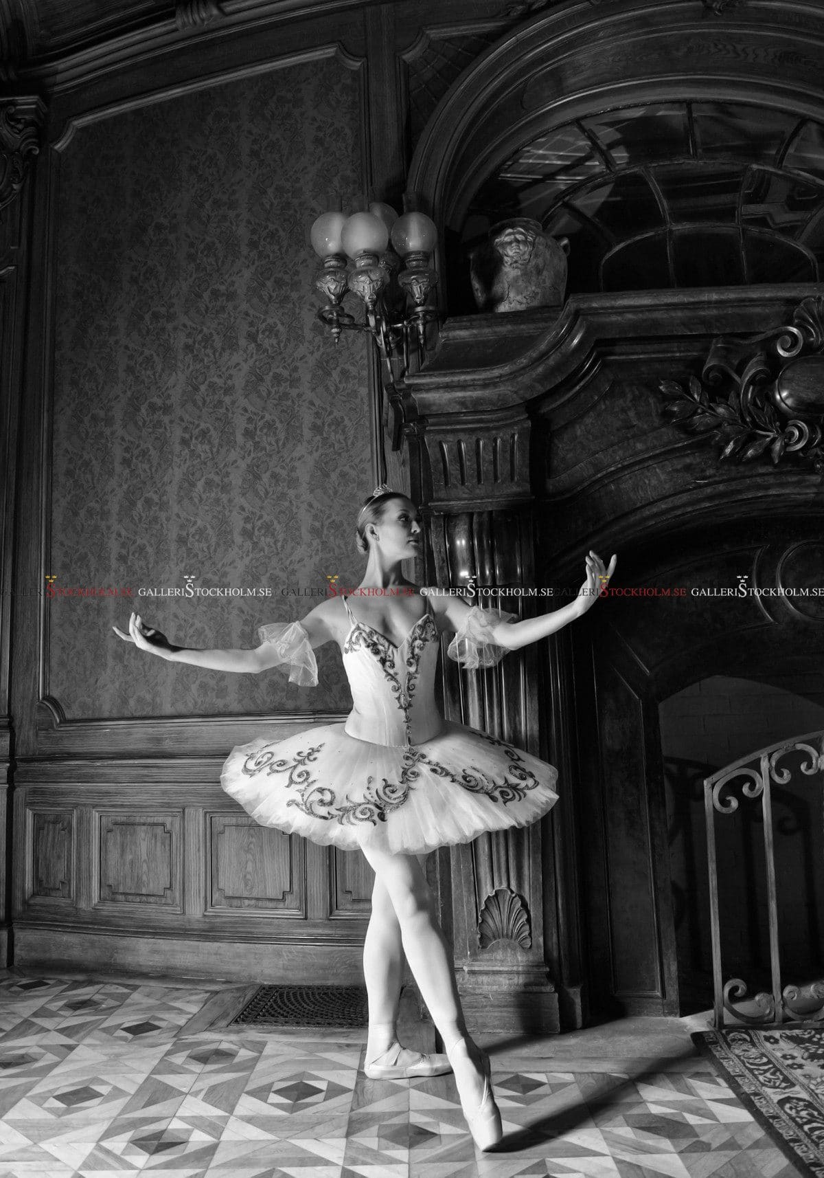 Dmitry Savchenko – Fotokonst – Fairy tale