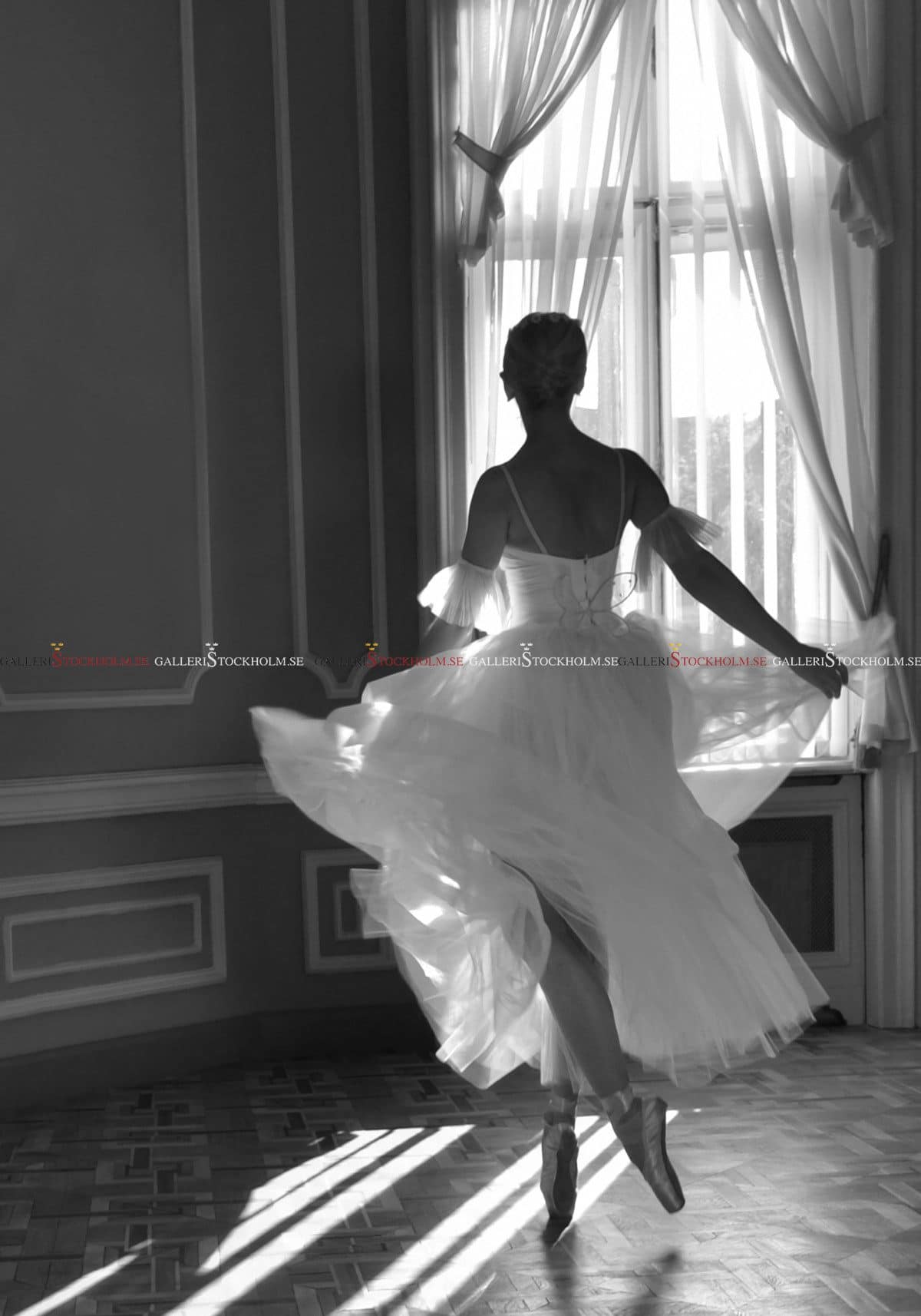 Dmitry Savchenko – Fotokonst – Ballerina. Contre-jour