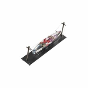 BERTIL VALLIEN - GLASKONST - LIMITERAT - BOAT - ANODE II