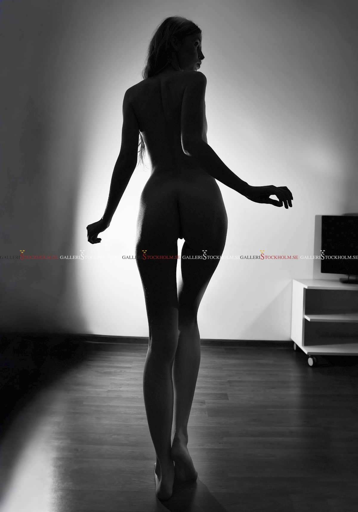 Dmitry Savchenko – Fotokonst – Silhouette