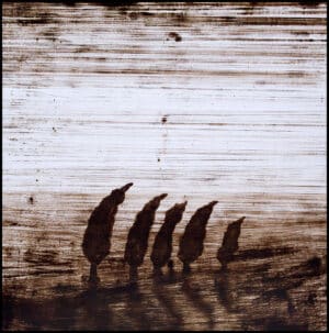 Andrej Zverev - Cypress Row