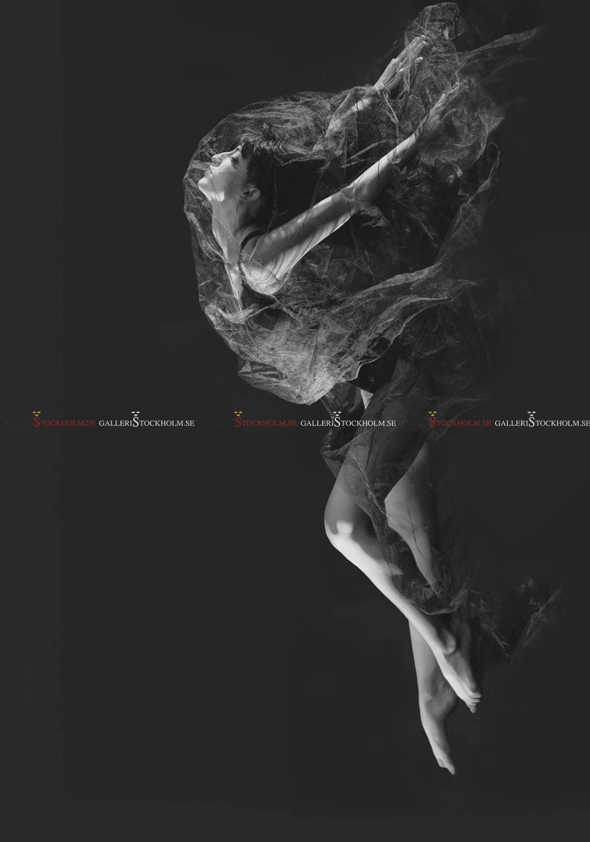 Dmitry Savchenko – Fotokonst – Air