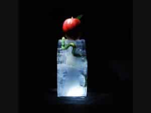 Andrej Zverev - Fotokonst - Kunskapens frukt