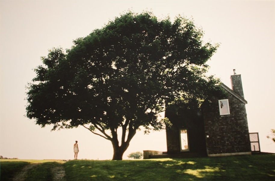 Richard Ryan – Julia Block Island