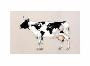Lasse Åberg - World Cow