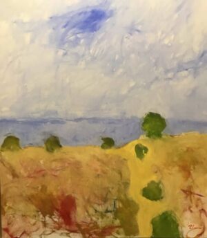 Anders Palmér - Gotland Fårö