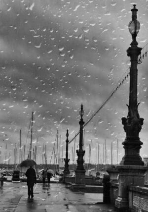Dmitry Savcheno - Rainy promenade