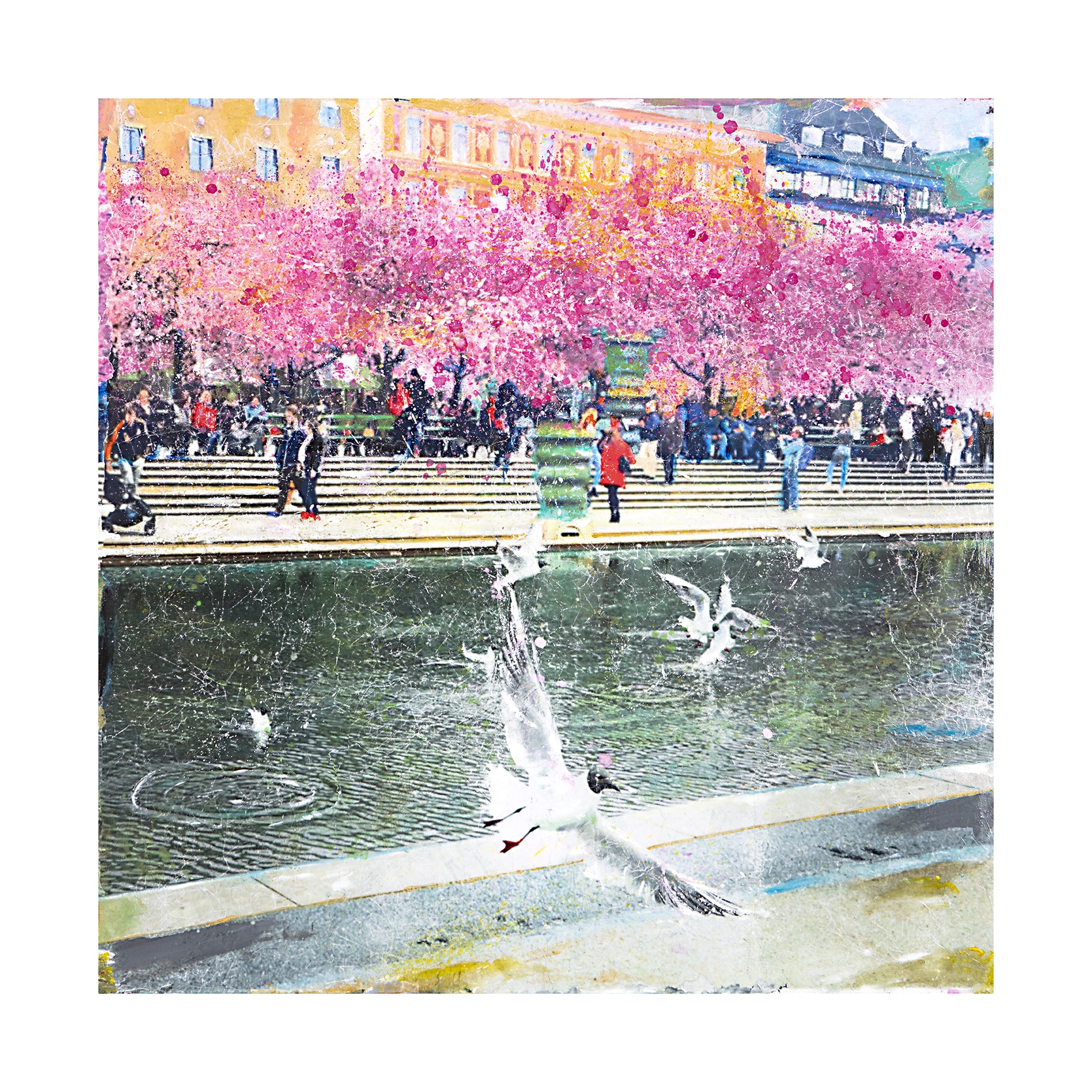 Maria Larkman – Kungsträdgården i körsbärsblom