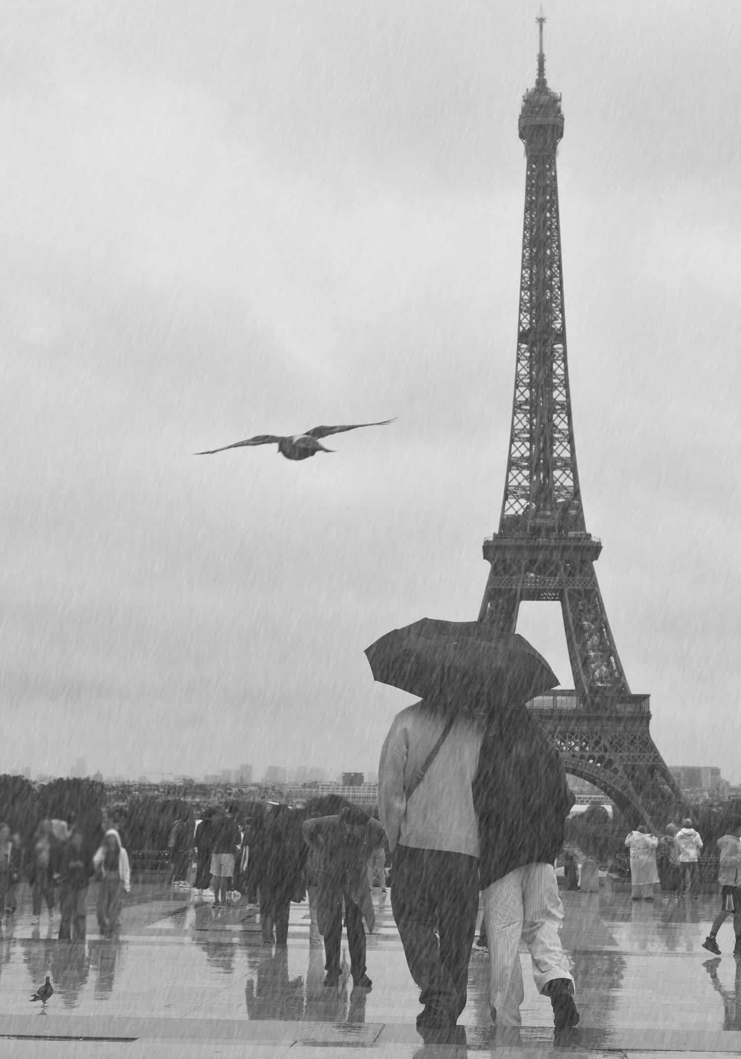 Dmitry Savchenko – Paris romantique – Fotokonst